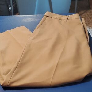 Men's dress slacks / pants